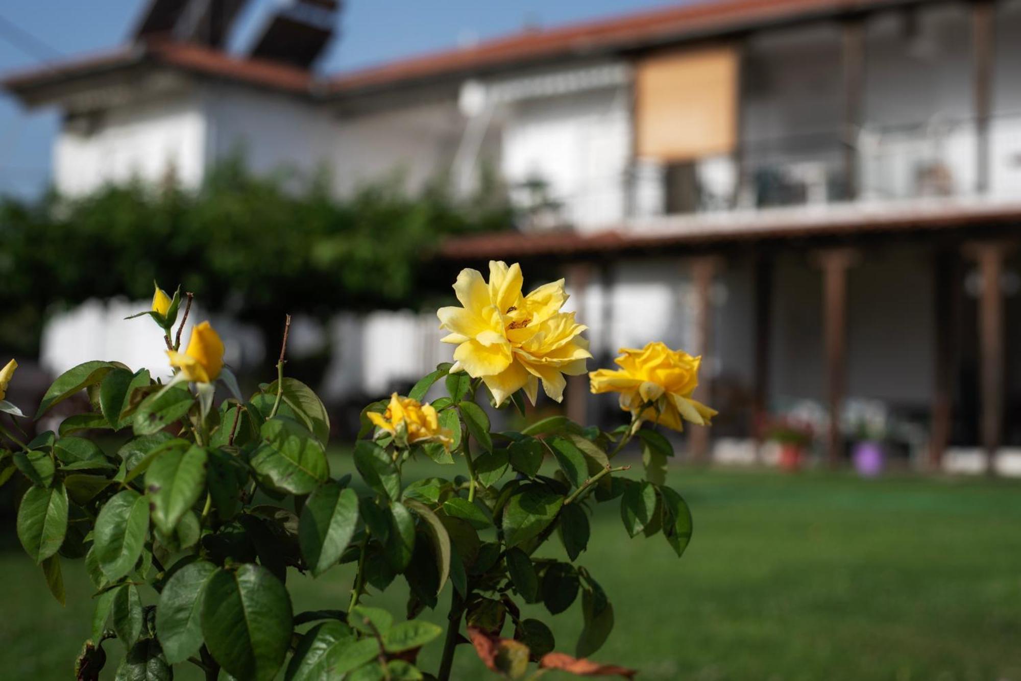 Marilena Apartments Anastasiou Велика Экстерьер фото